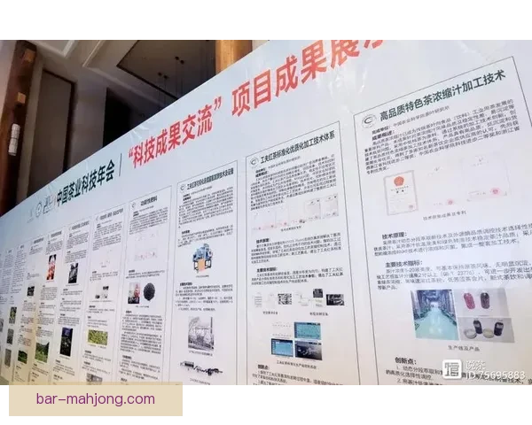 世界杯资格赛备战布局下转会风云与战术调整释放新信号国家队备战思路
